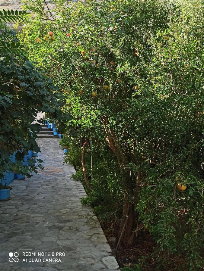 Giannis Apartments By Climbing House Panormos  Esterno foto